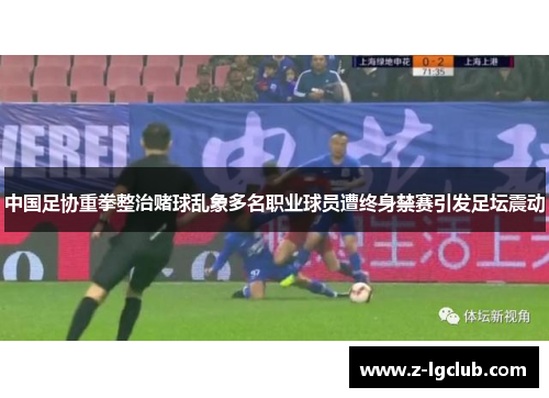 中国足协重拳整治赌球乱象多名职业球员遭终身禁赛引发足坛震动