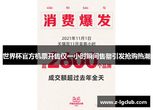 世界杯官方机票开售仅一小时瞬间售罄引发抢购热潮
